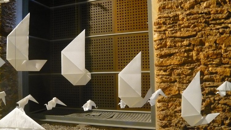 230 origamis coquillage