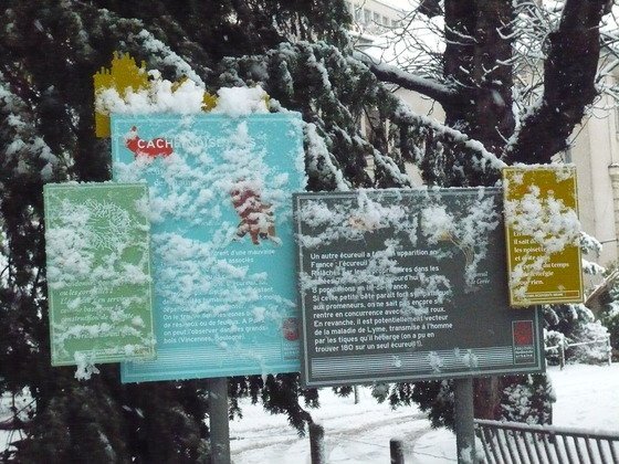 panneau sous neige