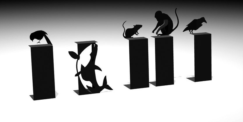Installation