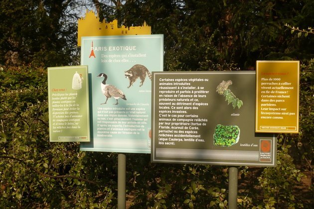 panneau "les exotiques"