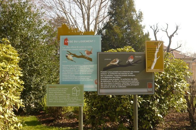 panneau oiseaux